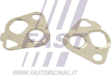 Fast FT50607 - Комплект прокладок, AGR-система autozip.com.ua