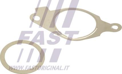 Fast FT50614 - Комплект прокладок, AGR-система autozip.com.ua