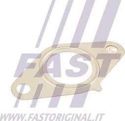 Fast FT50616 - Прокладка, клапан повернення ОГ autozip.com.ua