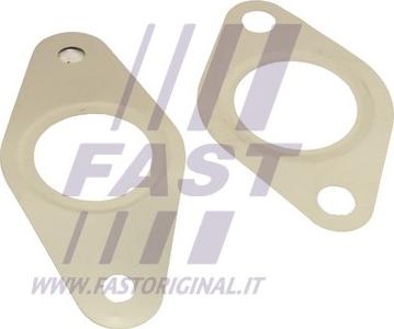 Fast FT50621 - Комплект прокладок, AGR-система autozip.com.ua