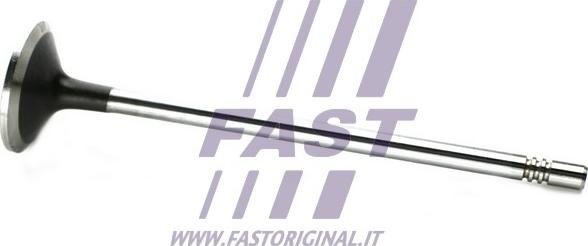 Fast FT50133 - Впускний клапан autozip.com.ua