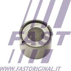 Fast FT51201 - Штовхач, гидрокомпенсатор autozip.com.ua