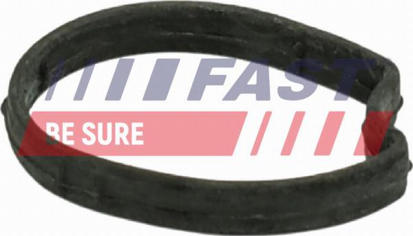 Fast FT58301 - Прокладка, корпус термостата autozip.com.ua