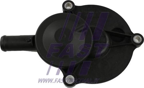 Fast FT60003 - Клапан, відведення повітря з картера autozip.com.ua