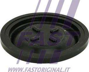 Fast FT60101 - Мембрана, вентиляція картера autozip.com.ua