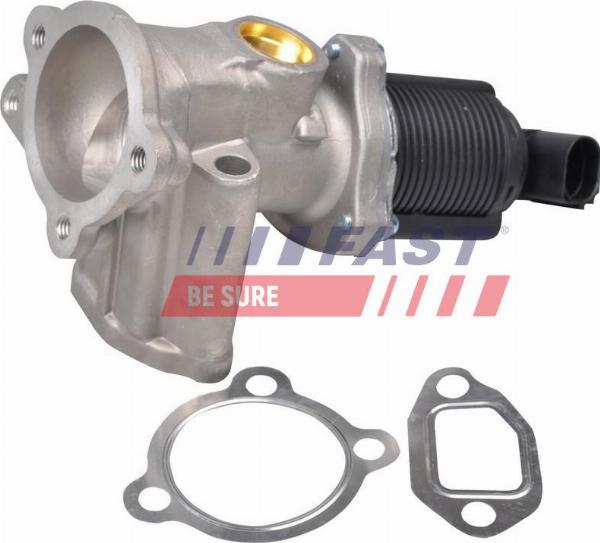 Fast FT60228 - Клапан повернення ОГ autozip.com.ua