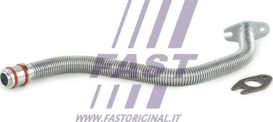 Fast FT61465 - Масляний шланг autozip.com.ua
