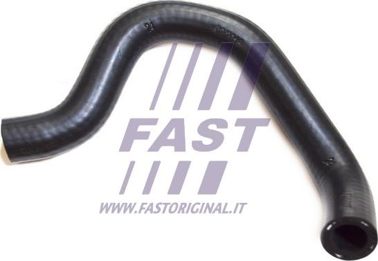 Fast FT61310 - Масляний шланг autozip.com.ua