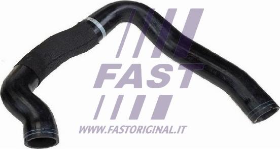 Fast FT61705 - Трубка нагнітається повітря autozip.com.ua