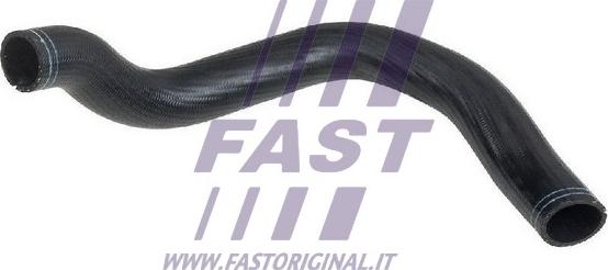 Fast FT61703 - Трубка нагнітається повітря autozip.com.ua