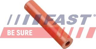 Fast FT63806 - Трубка повітря, що нагнітається autozip.com.ua