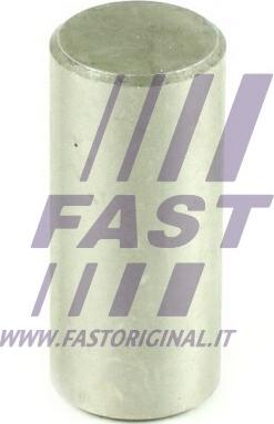 Fast FT62472 - Осьова шестерня, зрівняні. коніч. зубч. колесо - диференціал autozip.com.ua
