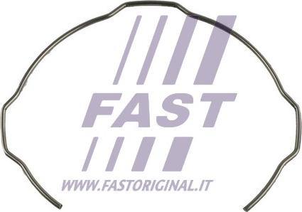 Fast FT62004 - Пружина синхронізатора КПП 1. 2. 3 передачі Peugeot-Citroen 307-407-Jumpy III-Expert III autozip.com.ua