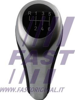 Fast FT09042 - Ручка важеля перемикання передач autozip.com.ua