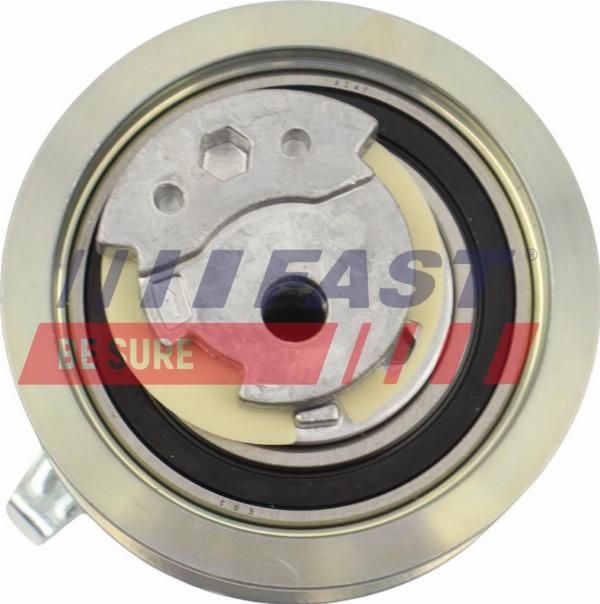 Fast FT10034 - Натяжний ролик, ремінь ГРМ autozip.com.ua
