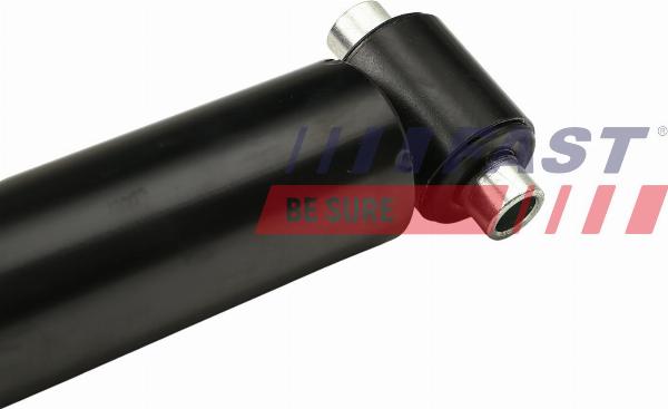 Fast FT11078 - Амортизатор autozip.com.ua