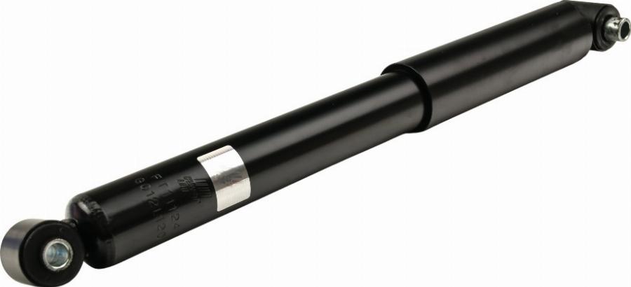 Fast FT11124 - Амортизатор autozip.com.ua