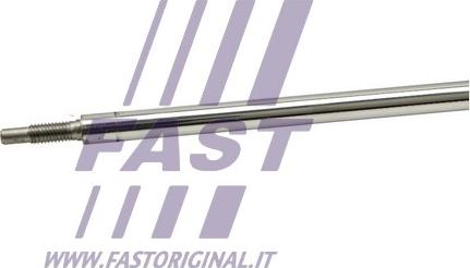 Fast FT11175 - Ам-тор задн. Ford B-Max 12- -Fiesta VI 09- -Transit Courier 14- autozip.com.ua