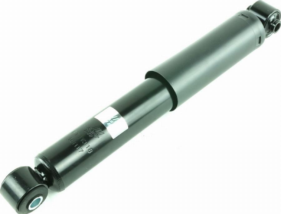 Fast FT11318 - Амортизатор autozip.com.ua