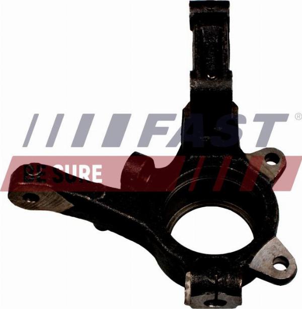 Fast FT13510 - Поворотний кулак, підвіска колеса autozip.com.ua