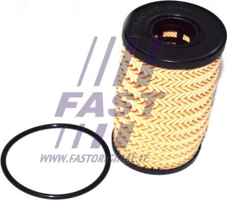 Fast FT38095 - Масляний фільтр autozip.com.ua