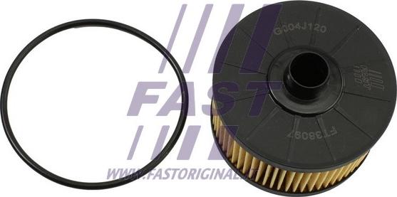 Fast FT38097 - Масляний фільтр autozip.com.ua