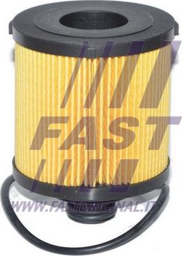 Fast FT38068 - Масляний фільтр autozip.com.ua