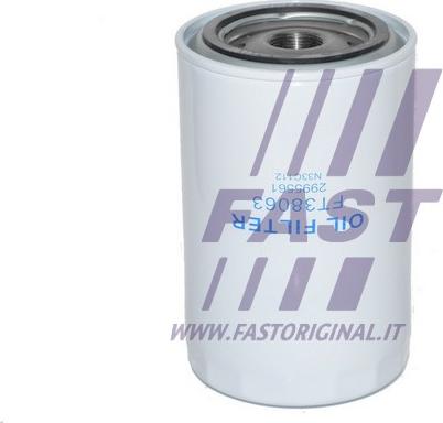 Fast FT38063 - Фільтр масляний   IVECO Daily E4 06-11. Daily E3 99-06 autozip.com.ua