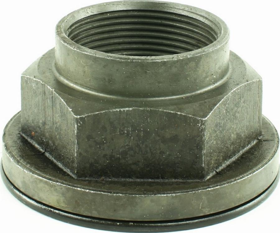 Fast FT26031 - Гайка осі, приводний вал autozip.com.ua