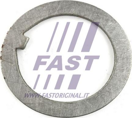 Fast FT26038 - Підкладна пластина, фланець приводного вала autozip.com.ua