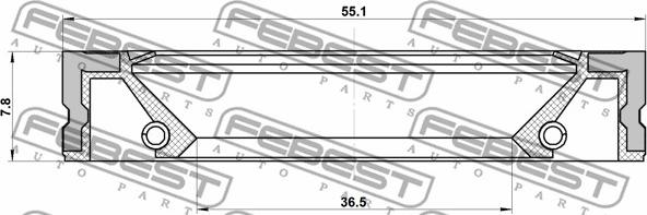 Febest 95GFZ-38550808R - Прокладка, масляний насос autozip.com.ua