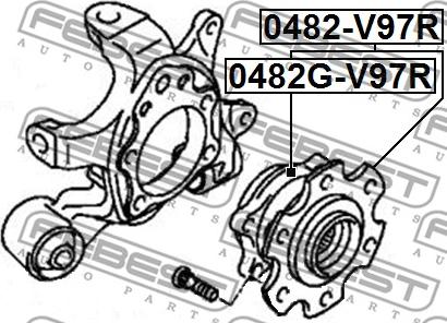 Febest 0482G-V97R - Маточина колеса autozip.com.ua