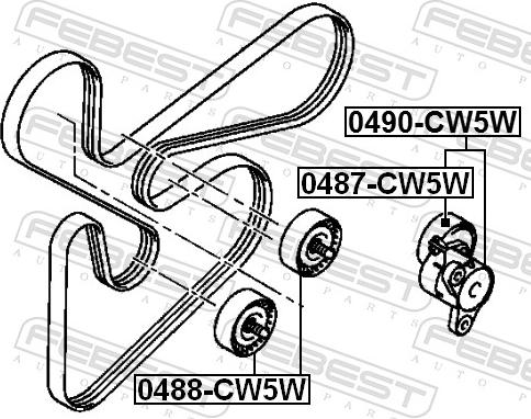 Febest 0487-CW5W - Паразитний / провідний ролик, поліклиновий ремінь autozip.com.ua