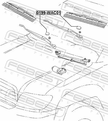 Febest 0199-WAC01 - Покришка, очисник autozip.com.ua