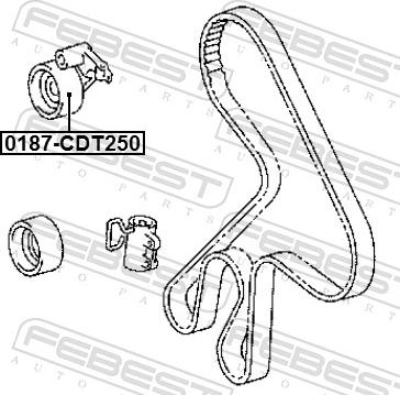 Febest 0187-CDT250 - Натяжний ролик, ремінь ГРМ autozip.com.ua