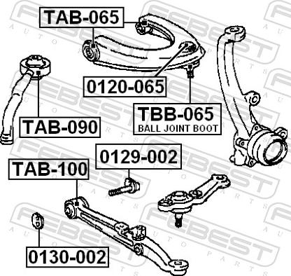 Febest 0129-002 - Болт регулювання розвалу коліс autozip.com.ua