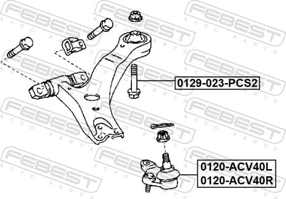 Febest 0129-023-PCS2 - Болт регулювання розвалу коліс autozip.com.ua