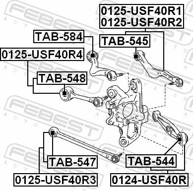 Febest TAB-545 - Сайлентблок, важіль підвіски колеса autozip.com.ua