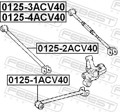 Febest 0125-3ACV40 - Важіль незалежної підвіски колеса autozip.com.ua