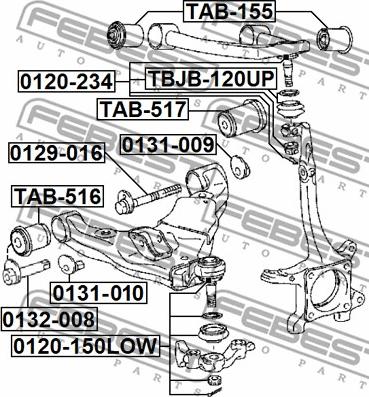 Febest 0129-016 - Болт з ексцентриком autozip.com.ua