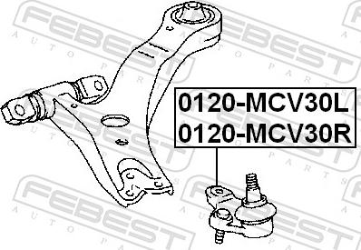 Febest 0120-MCV30L - Шарова опора, несучий / направляючий шарнір autozip.com.ua
