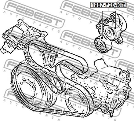 Febest 1987-F20-KIT - Паразитний / провідний ролик, поліклиновий ремінь autozip.com.ua