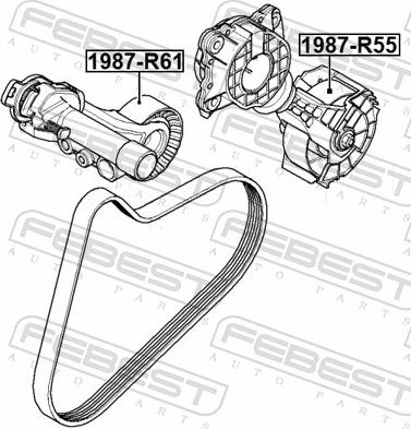 Febest 1987-R55 - Паразитний / провідний ролик, поліклиновий ремінь autozip.com.ua