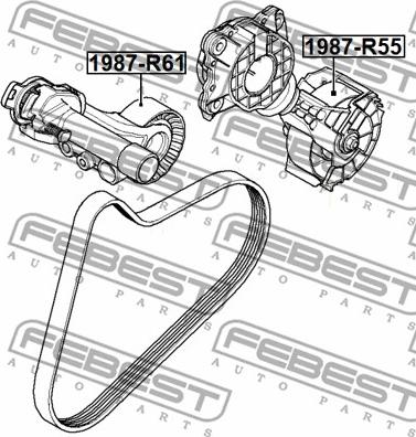 Febest 1987-R55 - Паразитний / провідний ролик, поліклиновий ремінь autozip.com.ua