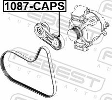 Febest 1087-CAPS - Паразитний / провідний ролик, поліклиновий ремінь autozip.com.ua