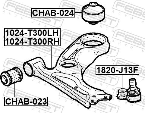 Febest 1024-T300LH - Важіль незалежної підвіски колеса autozip.com.ua