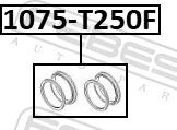 Febest 1075-T250F - Ремкомплект, гальмівний супорт autozip.com.ua