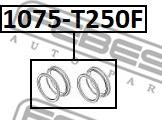 Febest 1075-T250F - Ремкомплект, гальмівний супорт autozip.com.ua