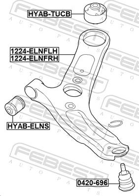 Febest 1224-ELNFRH - Важіль незалежної підвіски колеса autozip.com.ua