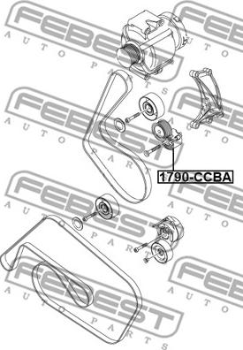 Febest 1790-CCBA - Натягувач ременя, поліклиновий ремінь autozip.com.ua